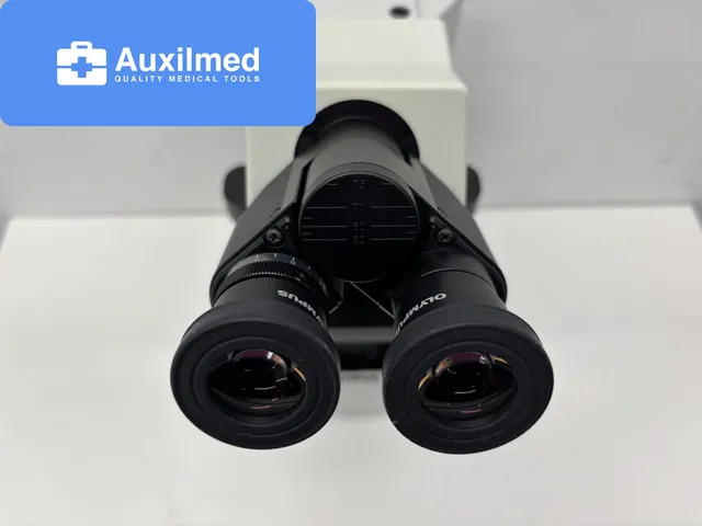 Olympus CX31 Microscope