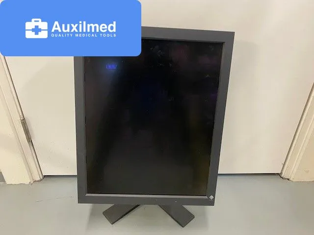 Eizo RadiForce GS520 Monitor
